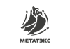 Метатэкс