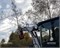 Обрезчик деревьев для экскаватора погрузчика Terex 360